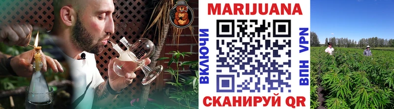 Бошки марихуана SATIVA & INDICA  цена наркотик  Гай 